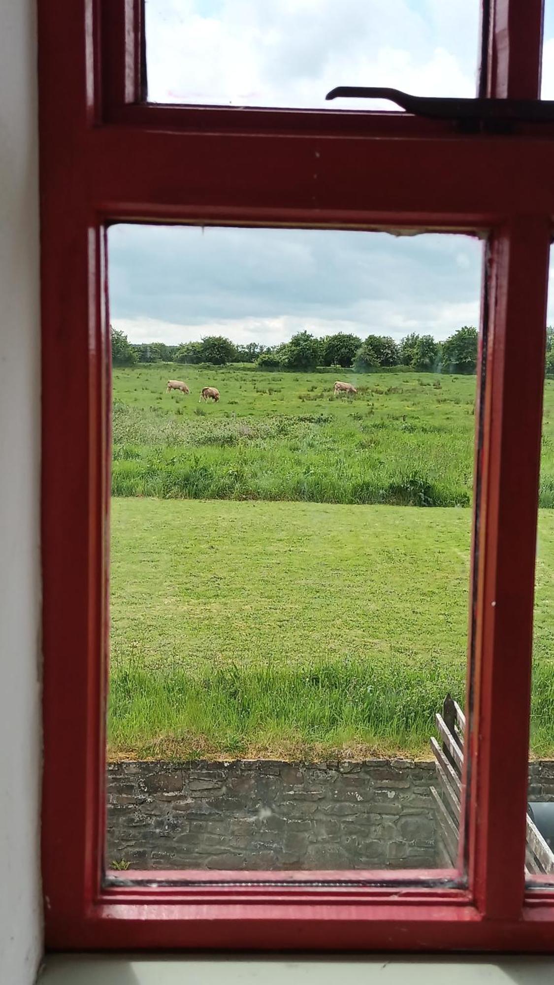The Old Mill, Kilcorkey Bellanagare, Castlerea, County Roscommon - West Of Ireland - House 2